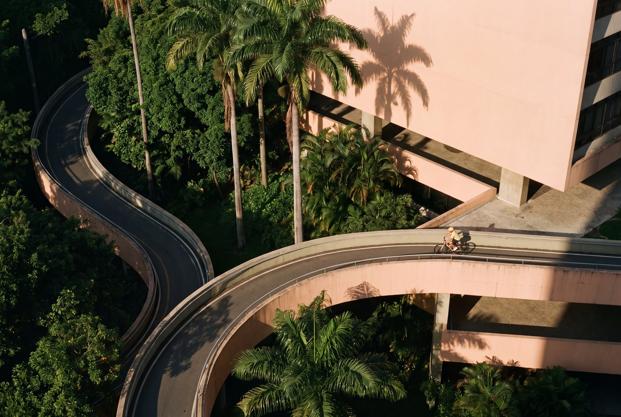 Ciclovia entre vegetação tropical e arquitetura carioca, ao fim da tarde